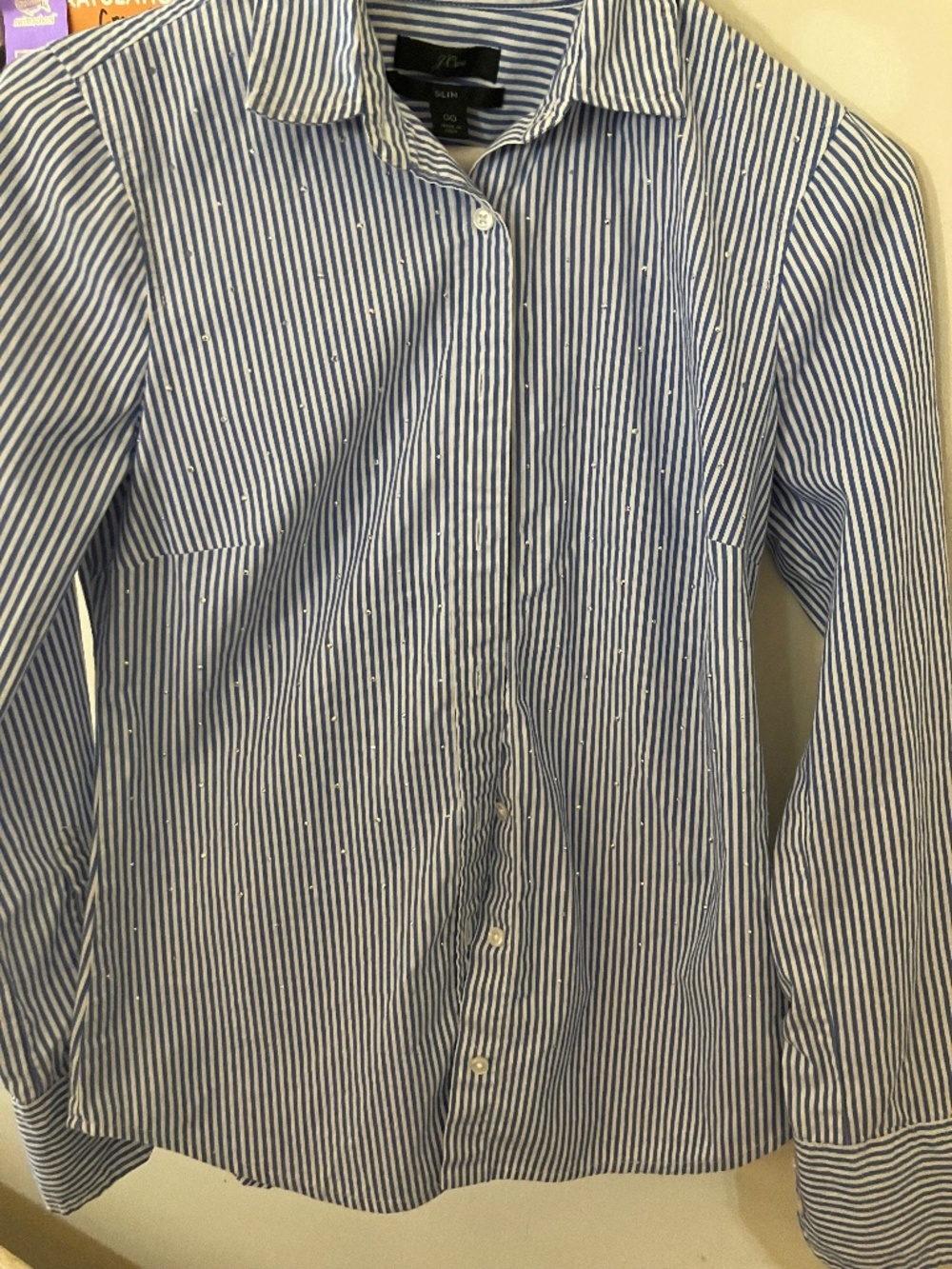 Sparkly button down shirt